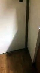 Pour le repas, nul besoin de les appeler 2 fois ...