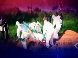 Voces e imagenes 2014