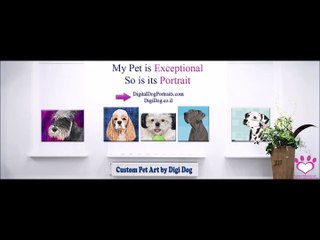 Quick Time Lapse of a 3 Dog Portrait