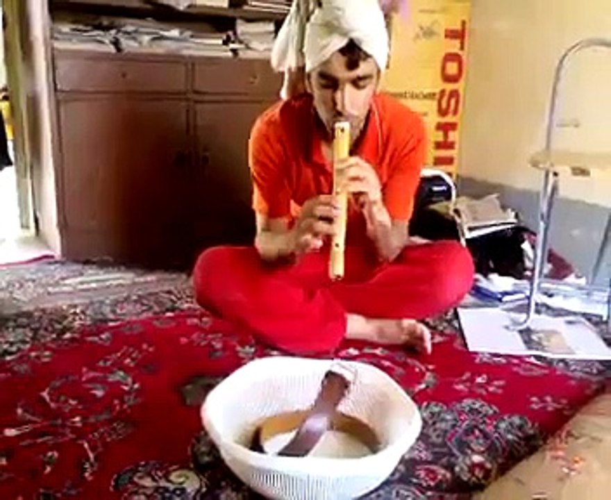 Very Funny Snake lol - latest funny clips 2015