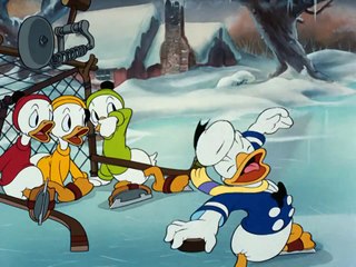 Donald Duck Cartoon - The Hockey Champ
