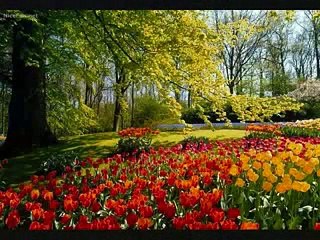 Sheher Dar Sheher - Hari Harran