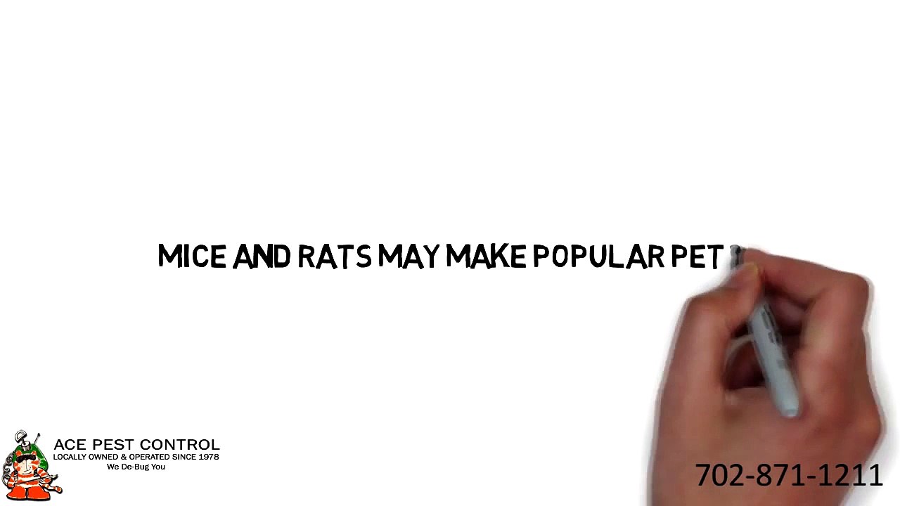 Pest Control Henderson NV _ 702-871-1211 _ Ace Pest Control