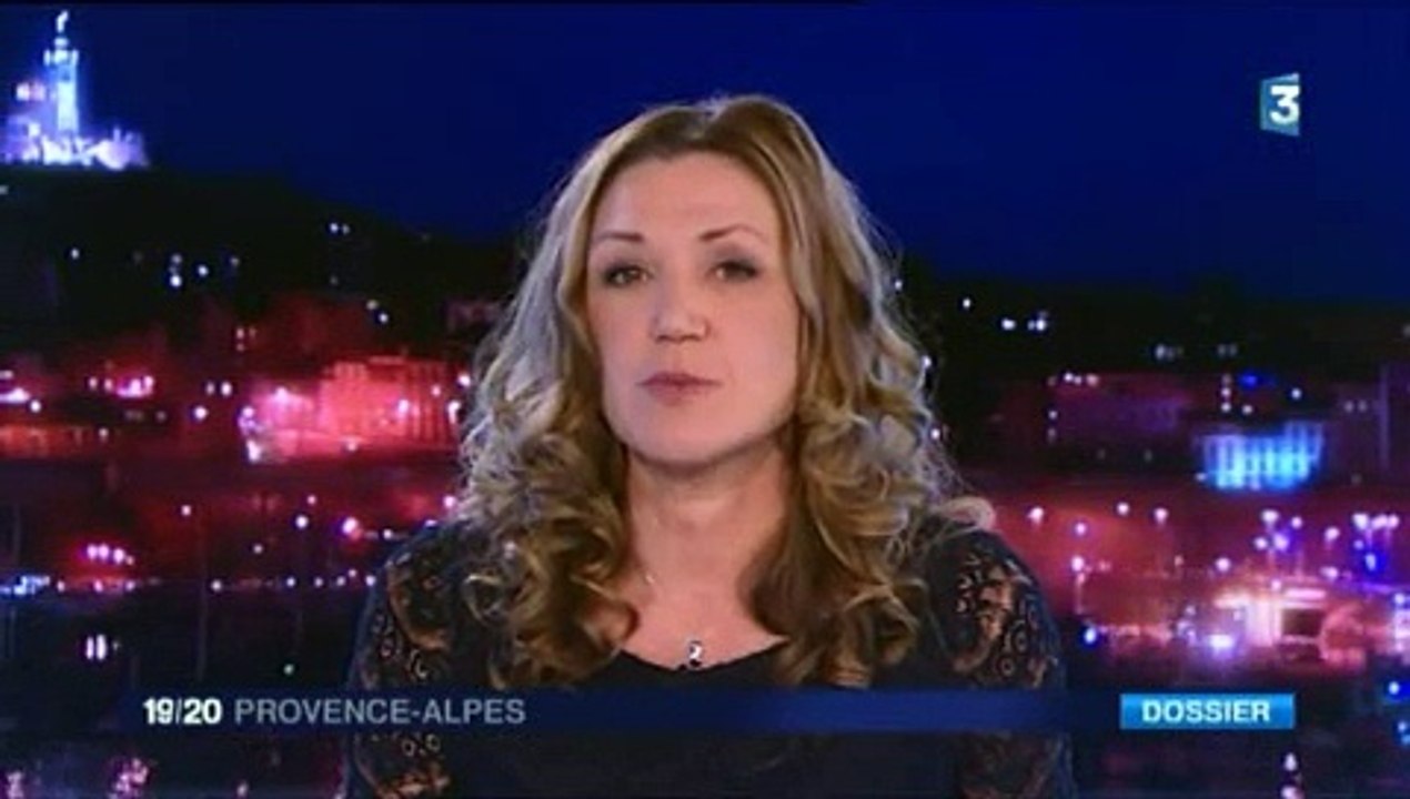 Dessin animé mode d'emploi. Reportage France 3 Provence au Gobi Studio