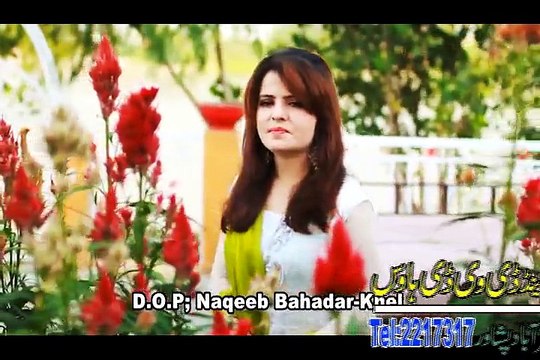 Gul Sanga Pashto new Album Afghan Hits Vol 7 2015 song Yar Mi Musafar Dy