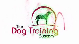 The Dog Training System
