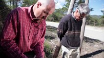 Provence de la Truffe : l'agroforesterie au service des trufficulteurs