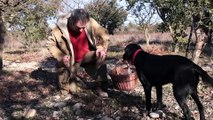 Provence de la Truffe : un trufficulteur et un chef : Christian Allègre et Nicolas Pailhès