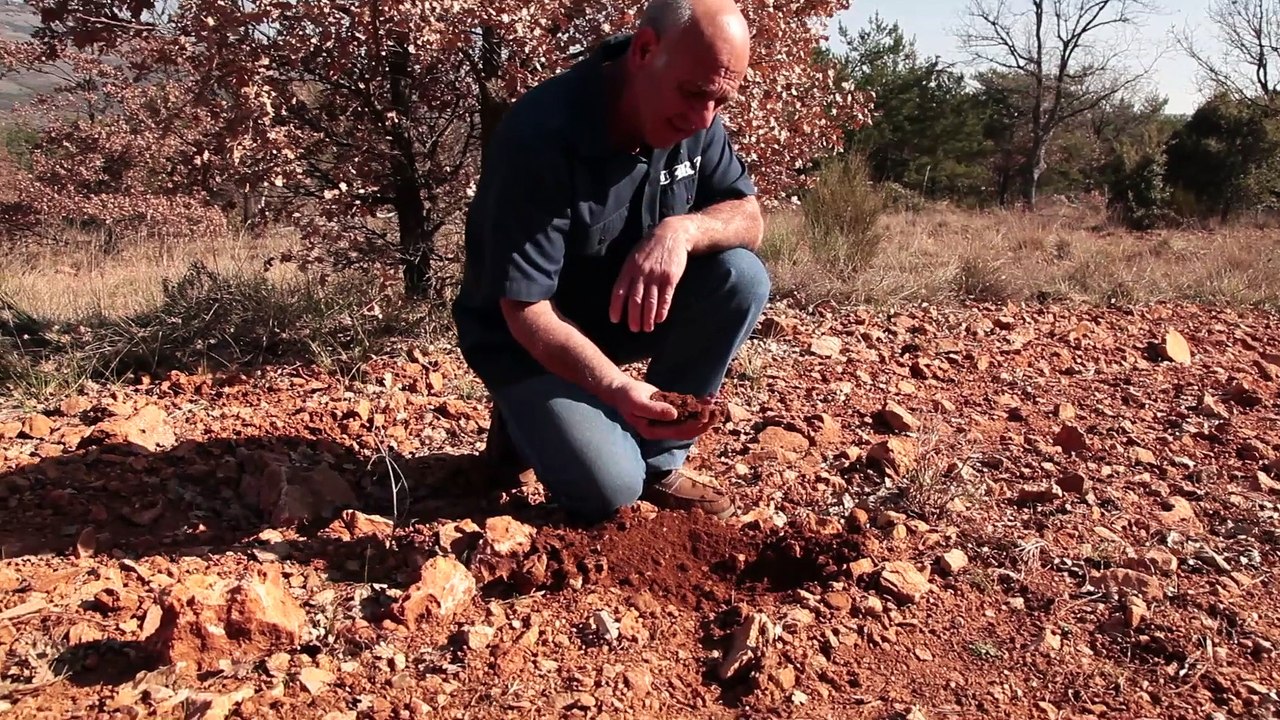 Provence de la Truffe : le Parc Naturel Régional du Verdon