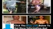 Kyle Leon Customized Fat Loss Does It Work + Kyle Leon Customized Fat Loss Review