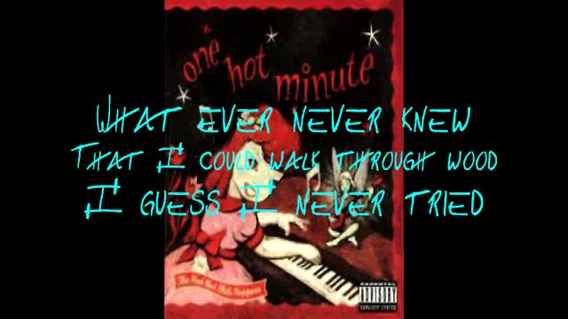 Red Hot Chili Peppers - Falling Into Grace with lyrics