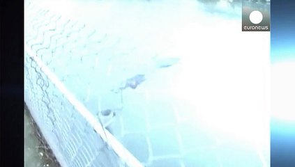 Taïwan pleure A Ho, l'hippopotame de série télé