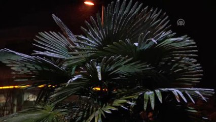 Mevsimin İlk Karı Yağdı (2)