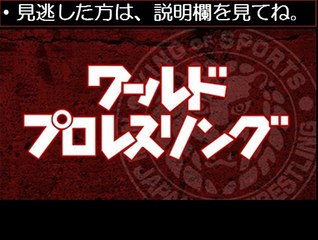 【動画無料】ワールドプロレスリング 2014年最終戦　12/27　12月27日
