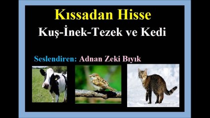 Kuş-inek-kedi ve Tezek Kıssası-Adnan Zeki Bıyık