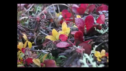 Engro Excellence - Meet The Scientist (Dr.Atta ur Rehman)- StartupsPk