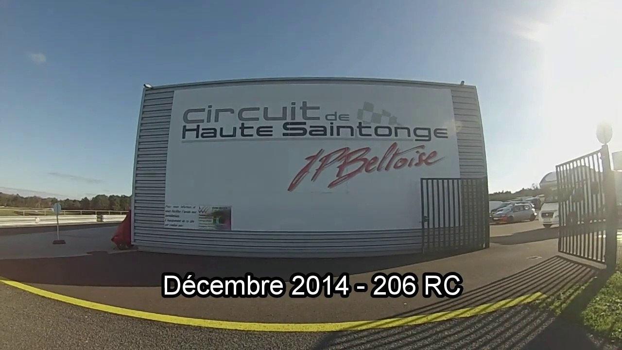 Haute Saintonge - Décembre 2014 - 206 RC - gatalex6