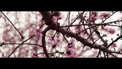 ADDA - Nu Plange Ana - Videoclip Oficial