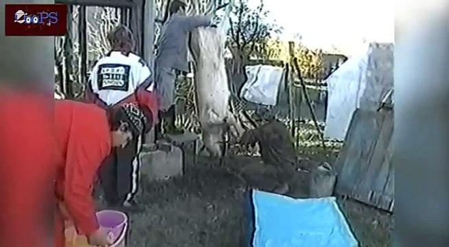 Best Funny Home Videos Compilation 2014 _ Funny Videos _ Fail Compilation _ Epic Fails Compilation