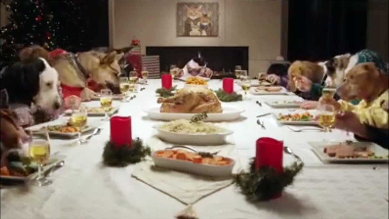 noel des animaux