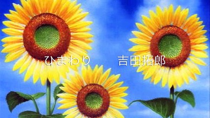 ひまわり　　　拓郎