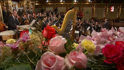 Concert du Nouvel An - Deuxième partie_A_France 2_2015