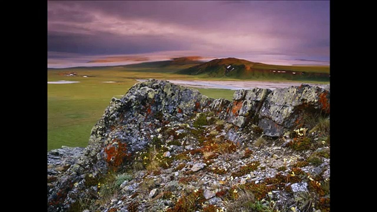 beautiful nature video, nice clips home,garden,funny nature clips 2014