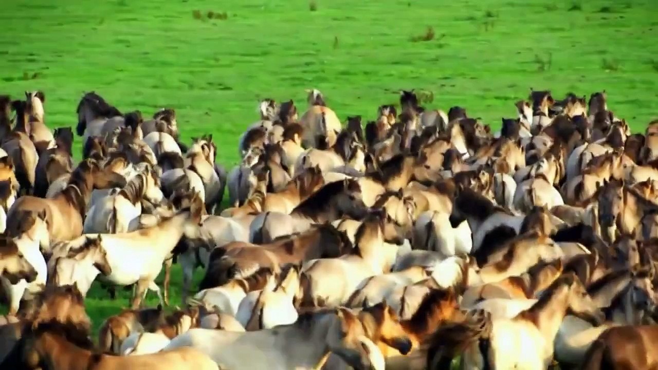 Beautiful Nature