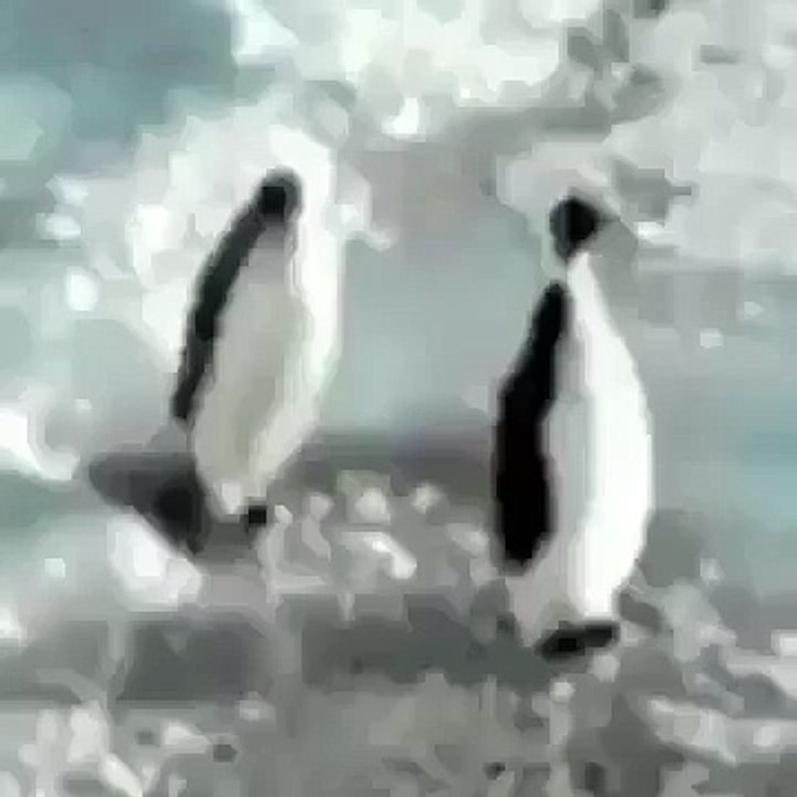 hahaah Must watch