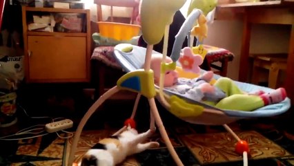 Cat Doing The Mother Work   Babysitter Of The Year