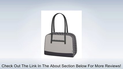 Thermos Raya Premium 9-Can Duffle Lunch Bag, Gray Shimmer Review