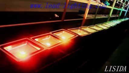 Hotsale CE/RoHs IP65 Epistar 10W RGB LED Flood Light