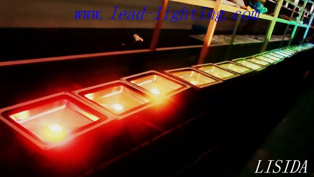 Hotsale CE/RoHs IP65 Epistar 10W RGB LED Flood Light