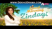 Good Morning Zindagi With Noor Bukhari APlus Morning Show Part 7 - 29th December 2014