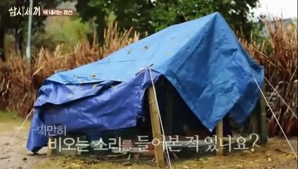 ­­룰­렛노­하­우­▶Ｒ­Ａ­Ｔ­１００,ＣＯＴ ◀­룰­렛노­하­우­*◈▧▦