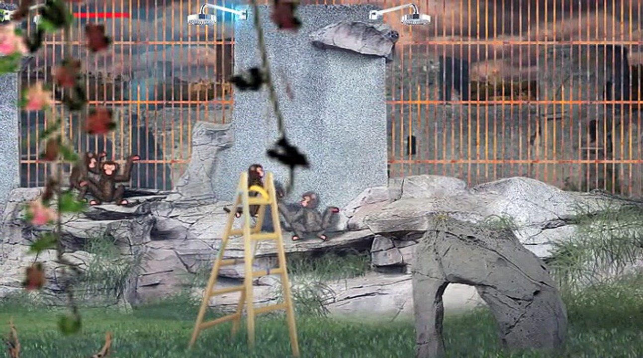 "Soyez le changement" : entretien avec Thierry Janssen