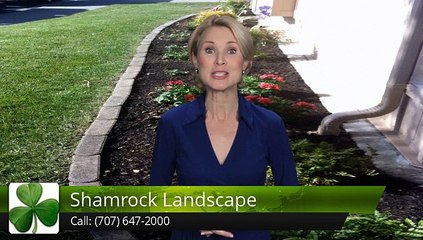 Shamrock Landscape Benicia         Terrific         5 Star Review by Cynthia G.