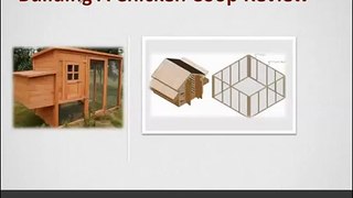 Building A Chicken Coop Review