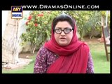 Bulbulay Episode 330 Full