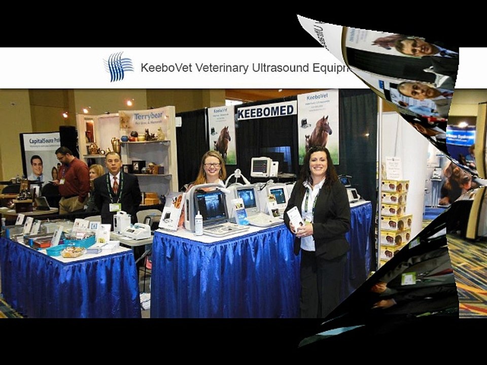 Get Superior Veterinary Medical Supplies From Keebovet.com