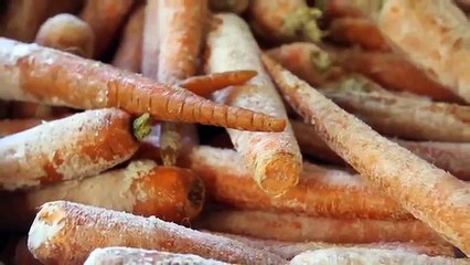 Raw Diet Dog Food - History, Ingredients & How Its Made - Robert Barrett