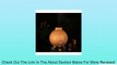 OFTEN Ultrasonic Aroma Diffuser Humidifier Aromatherapy Purifier Mute Negative Ion Review