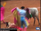 Mexican female bullfighter gored by bull - 30th December 2014