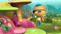 Octonauts and The Artificial Reef (Series 3 Episode 4)