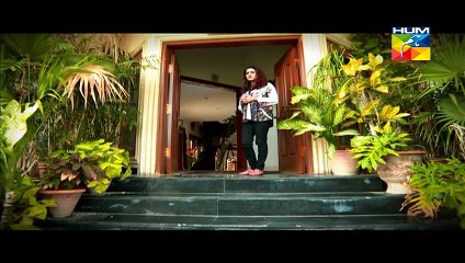 Darbadar teray liye OST HUM TV Drama 30 Dec 2014
