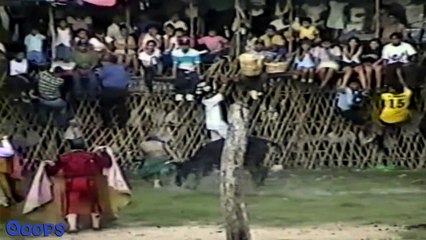 Bull Fight Bloopers Caught On Tape