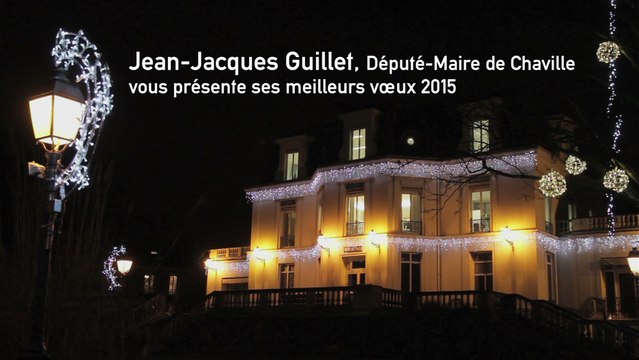 Voeux Jean-Jacques Guillet 2015