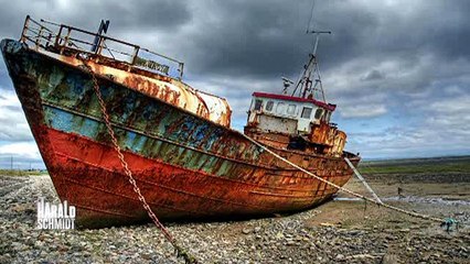 Die Harald Schmidt Show - 2009 - S01E05