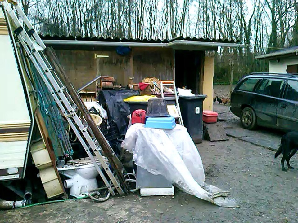 2014 DECEMBRE : Mes galinacées sur mon terrain en plein hiver !