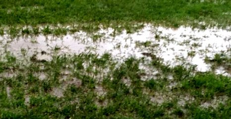 Altınordu-Fenerbahçe Maçı Ertelendi